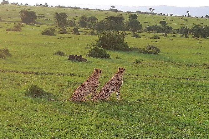 3 Days Masai Mara Safari Group Joining (Daily Departures) - Meeting Point and Start Time