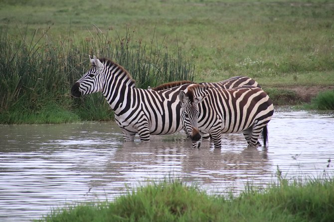 3 Days Nyerere (Selous) NP Private Tour and Boat Safari - Frequently Asked Questions