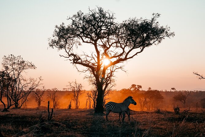 3 Days Private Mikumi National Park Wildlife Encounter Safari Tour - Wildlife Encounters