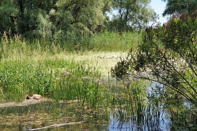 3 Days Private Tour to Danube Delta From Bucharest - Meal Inclusions