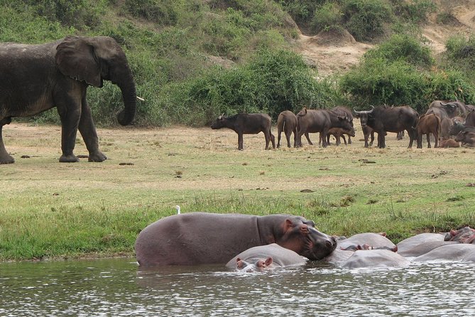 3 Days Queen Elizabeth Nat Park Tour - Additional Information