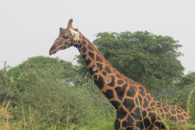 3 Days Queen Elizabeth National Park Safari Holiday - Itinerary Highlights