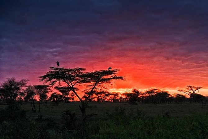 3 Days Safari to Serengeti and Ngorongoro Crater - Frequently Asked Questions