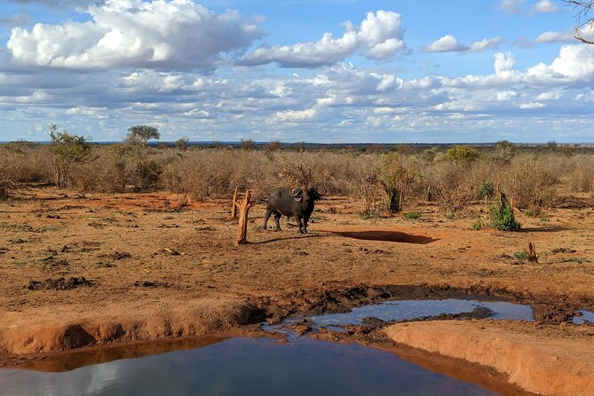 3 Days Safari Tsavo East and Taita Hills Saltlick Lodge - The Sum Up