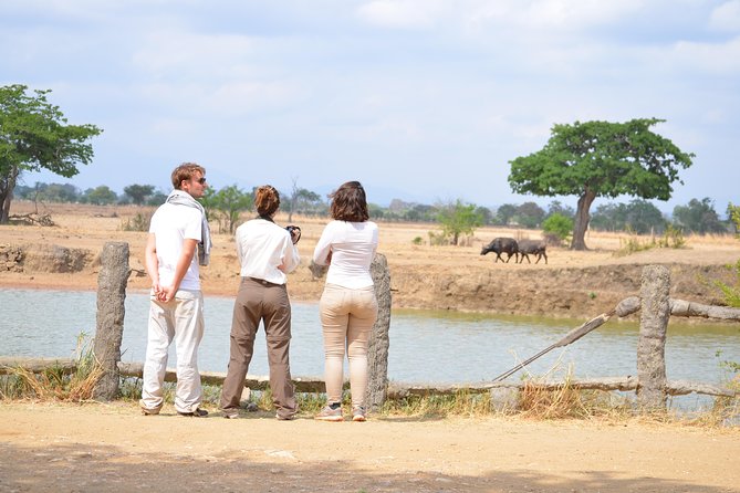 3 Days to Mikumi National Park From Dar Es Salaam - Route Information