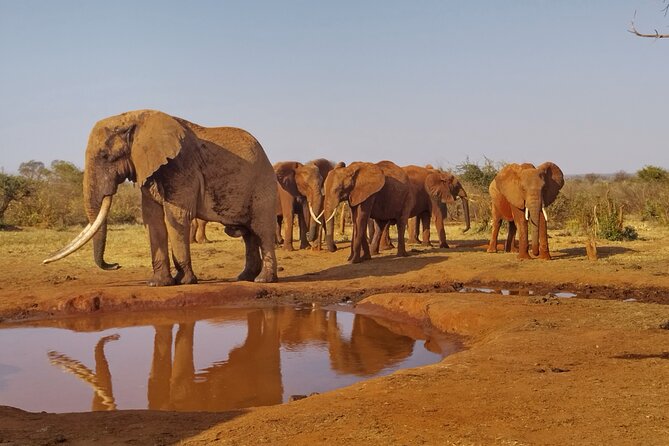 3 Days Tsavo East + Taita Hills/Saltlick Lodge From Malindi - The Sum Up
