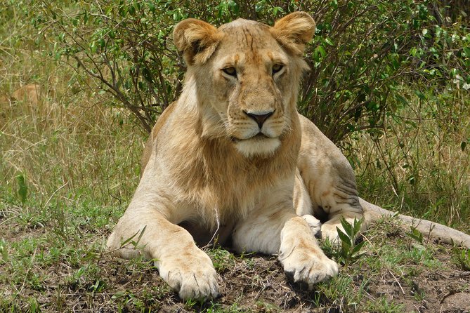 3 Days Tsavo East & West - Tour Inclusions
