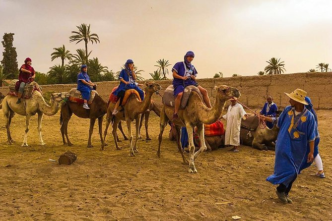 3 Hour Marrakech Combined Camel Ride & Quad Bike Tour - The Sum Up
