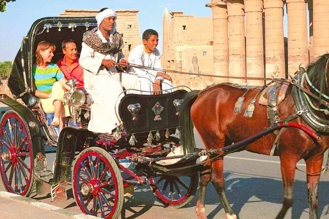 3-Hour Private Luxor Horse Carriage Experience Around Luxor City - Reviews and Testimonials