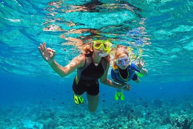 3 Hour Snorkeling and Dolphin Watching Experience in Muscat - Maximum Group Size