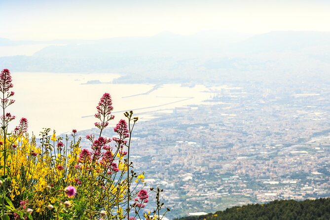 3 Hours Mount Vesuvius Crater Visit From Pompeii