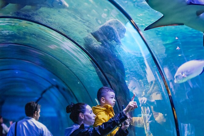3 in 1 Fun With Viaport Theme Park With Aquarium and Lion Park - Frequently Asked Questions