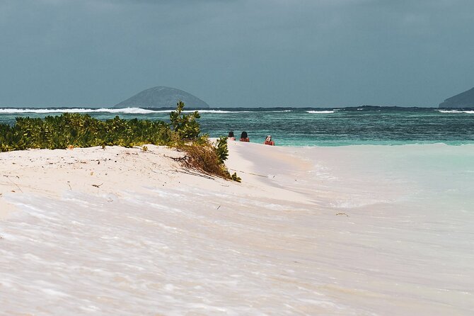 3 North Islands Catamaran Cruise With Lunch & Drinks on Island. - Multilingual Reviews and Responses