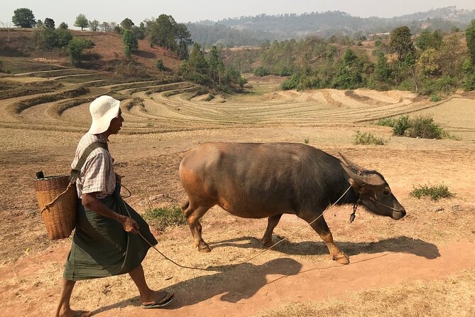 3Days Less Touristic Way Trekking From Kalaw to Inle - Cultural Immersion Opportunities