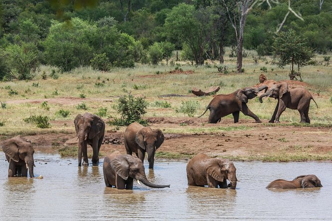 4-Day Discover Victoria Falls, Chobe and Hwange Park - Booking and Confirmation