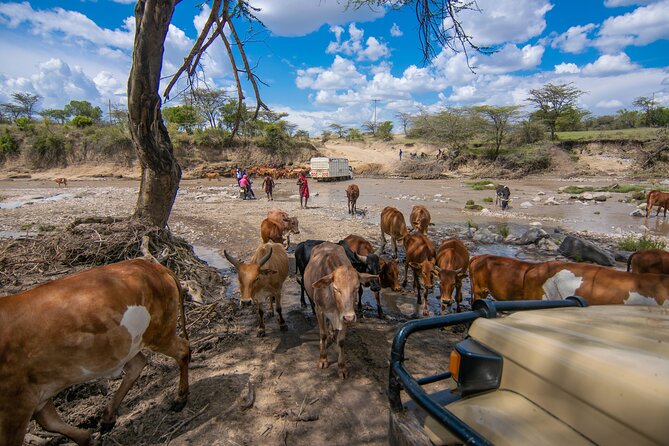 4-Day Private Masai Mara Kenya Safari Tour - Frequently Asked Questions