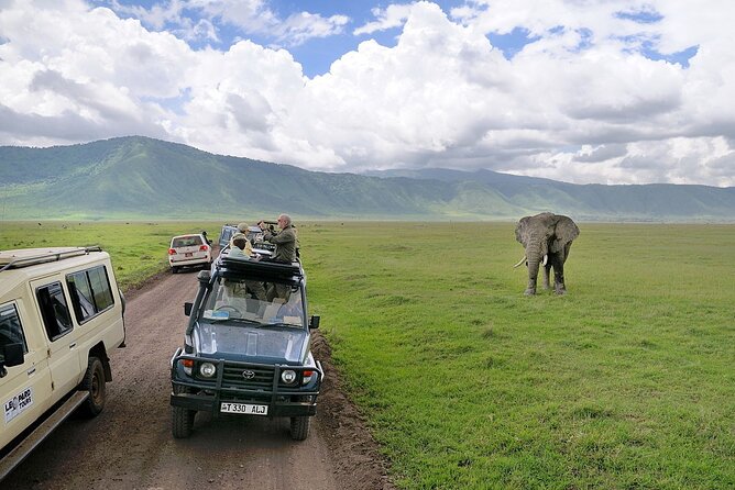4 Day Private Wilderness Safari in Arusha - The Sum Up