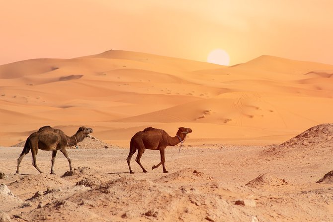 4-Day Sahara Desert Tour From Marrakech With Camel Ride - Meeting and Pickup Details