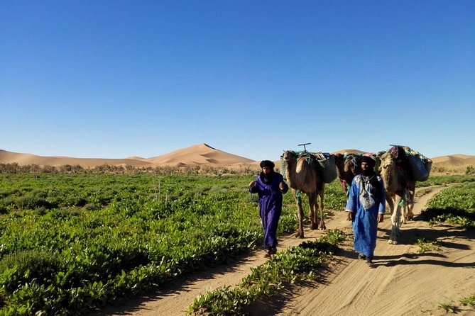 4 Days Hiking To Desert - Cancellation Policy Details