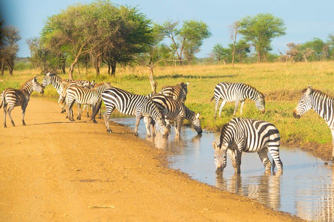 4 Days Lodge Safari - The Sum Up