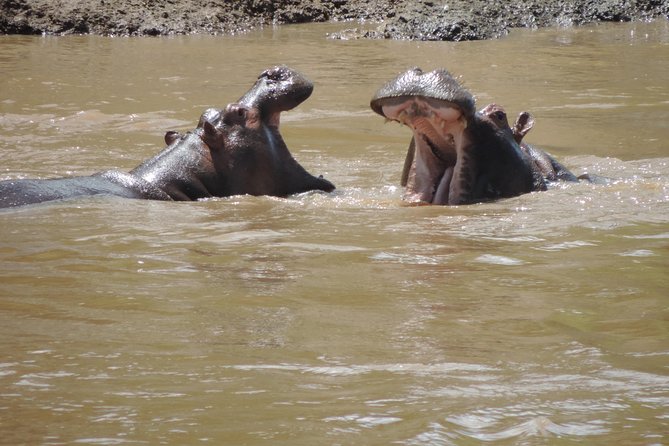 4 Days Masai Mara & Lake Nakuru Budget Safari From Nairobi - Booking Information