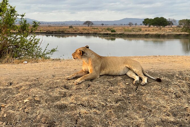 4 Days Ngorongoro Crater, Tarangire and Serengeti National Park - Booking Information