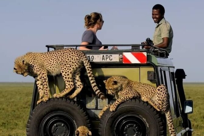 4 Days Private Safaris in Tarangire, Ngorongoro and Serengeti . - The Sum Up