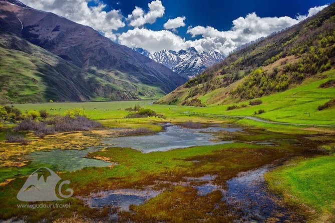 4 Days Private Tour in Georgia With Free Airport Transfers - Confirmation and Accessibility