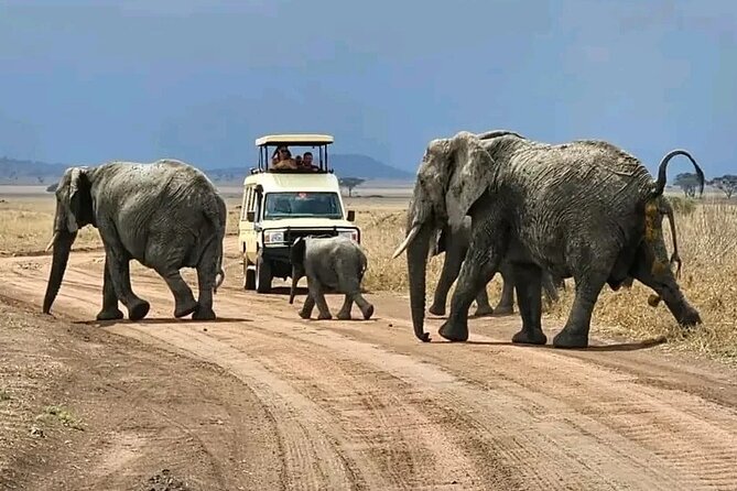 4 Days Safari to Tarangire Sererngeti and Ngorongoro From Arusha - Flexible Cancellation Policy