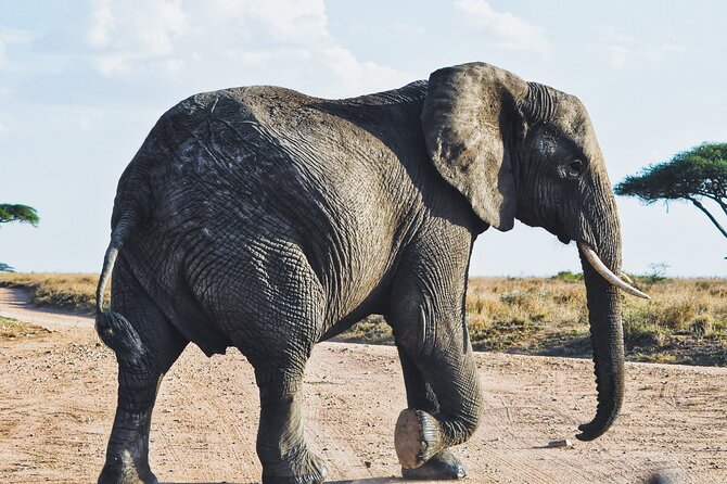 4 Days Tanzania Safari - The Sum Up