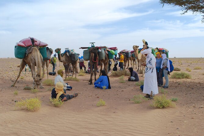 4 Days Trek - the Legs of Camels - Additional Important Information