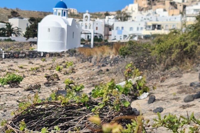 4 Hours Santorini Private Tour - Customer Reviews