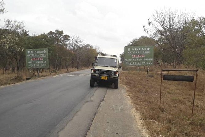 4days 3nights Safari to Mikumi, Ruaha National Park and Maasai Village - Tour Requirements and Restrictions