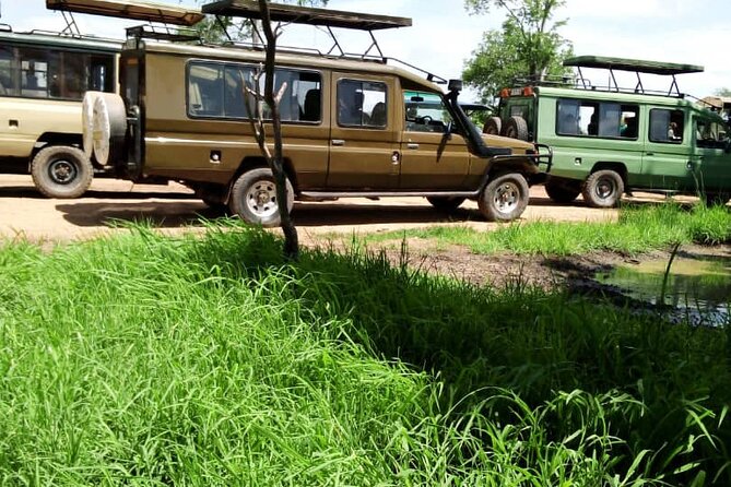 5-Day Mikumi and Ruaha National Park Safari - Tour Information Details