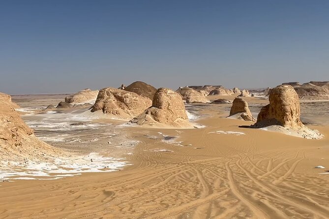 5-Day Private Exploration in Baharyia Oasis - Meeting and Pickup Information