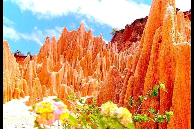 5-Day Tour to Discover the North of Madagascar - Cancellation Policy