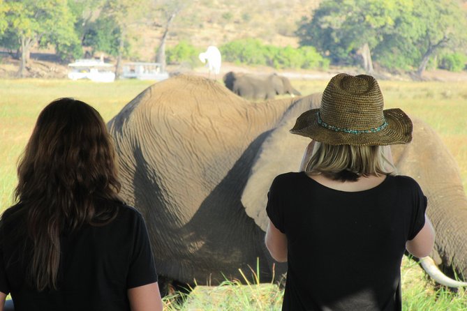 5-Day Victoria Falls and Chobe Tour From Victoria Falls - Cancellation Policy
