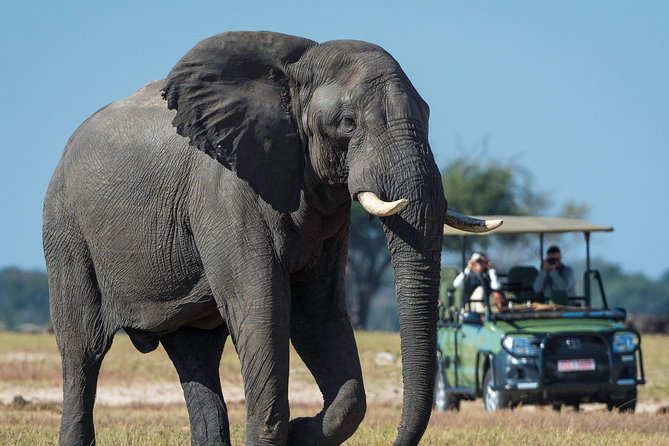 5 Day Victoria Falls and Hwange National Park Accommodated Safari Tour - Frequently Asked Questions