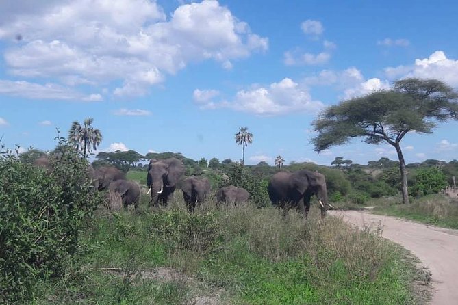 5 Days African Safaris - Frequently Asked Questions