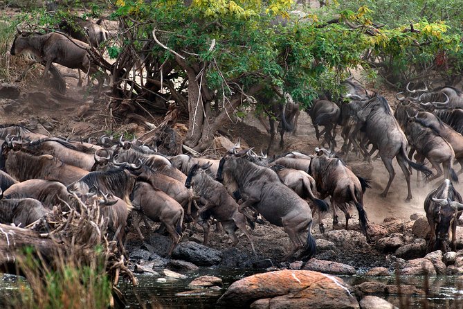 5 Days - Best Of Tanzania Northern Zone, Lodge Safari - Booking Information