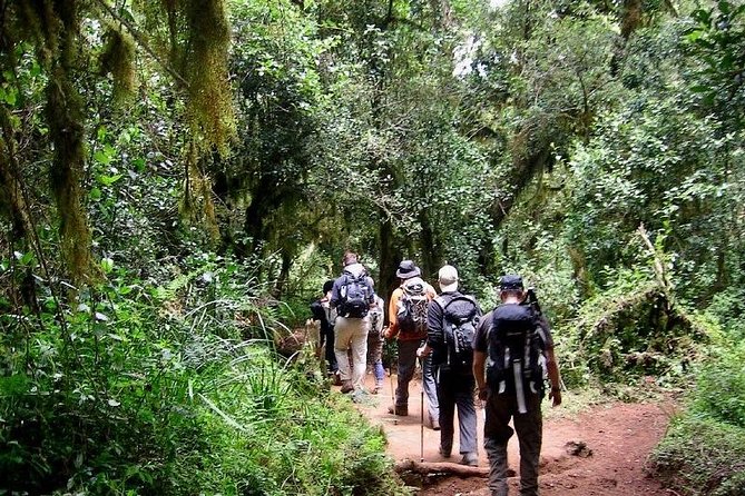 5 Days Mount Kilimanjaro Marangu Route Climb - Day-by-Day Itinerary
