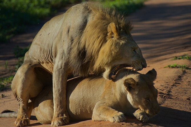5 Days Northern Tanzania Safari- Lodging - Safari Itinerary