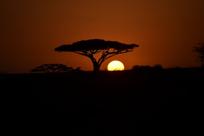 5-Days Private Budget Safari: Tarangire, Serengeti & Ngorongoro - Cancellation Policy