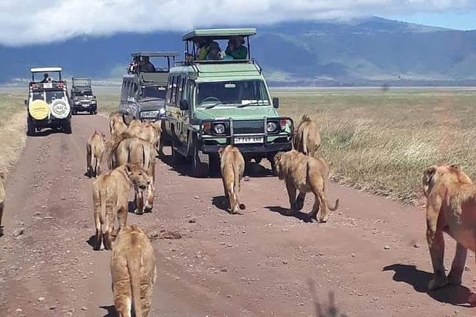 5 Days Safari Itinerary, Delight With Camping Game Drives in 3 National Parks - Meals and Accommodations