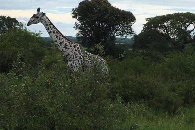 5 Days Safari Tour Itinerary: Delight With Luxury Safaris in 3 National Parks - Frequently Asked Questions