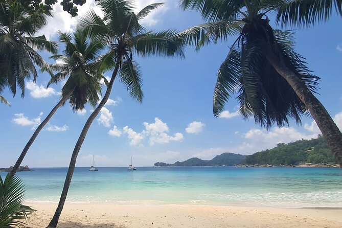 5 Hour Private Customize Tour of Mahe, Seychelles - Reviews and Testimonials