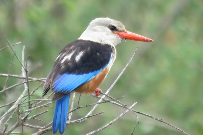 5Days 4Nights Masai Mara, Lake Nakuru & Hells Gate Lake Naivasha Budget Safari - Hells Gate Geological Wonders