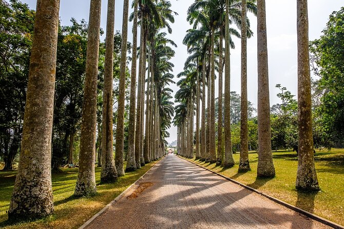 5Days Ghana Safari Tour - Transportation Logistics