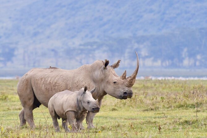 6-Day Amboseli, Lake Naivasha & Maasai Mara Safari - Additional Fees and Charges