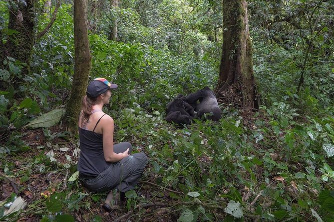 6-Day Gorilla Trekking and Kampala City Tours - Directions